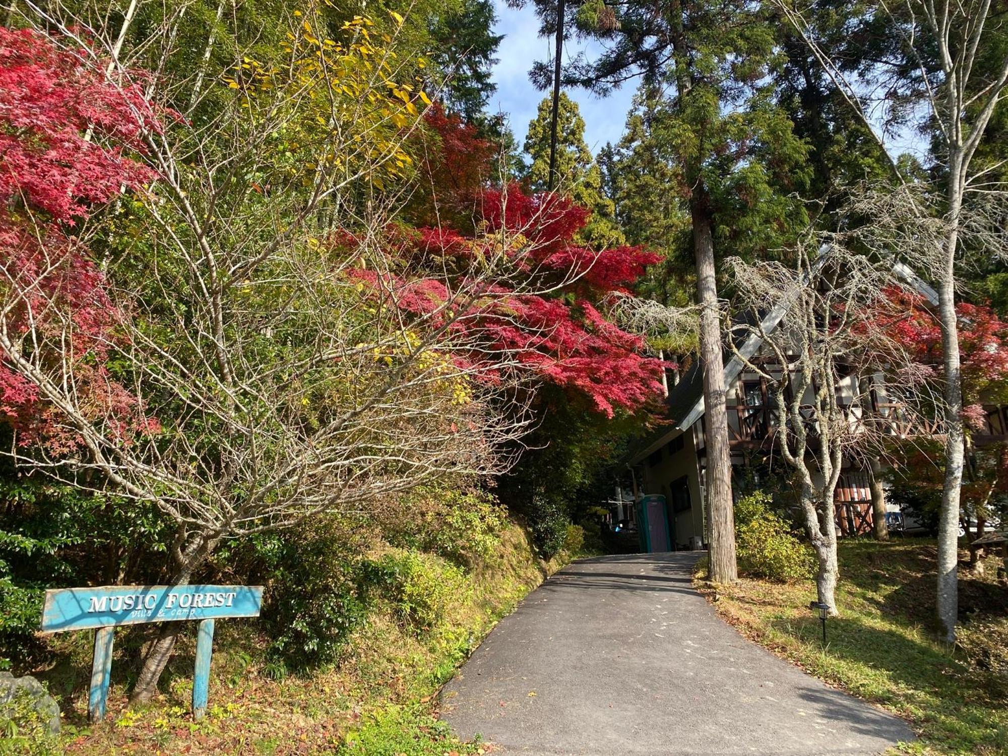 Music Forest Villa&Camp Tamba-Sasayama Luaran gambar